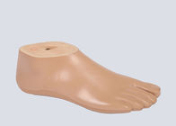 Artificial Sach Prosthetic Foot Polyurethane Stainless 12cm-30cm Size